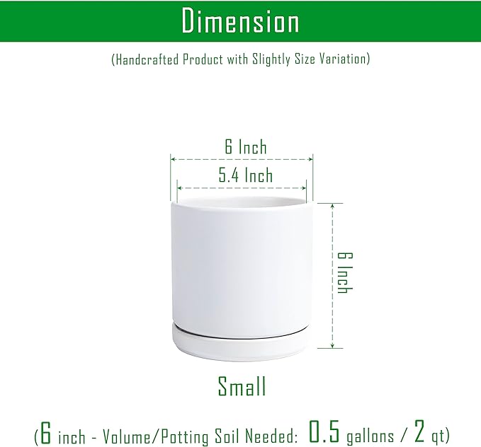 D'vine Dev 6 Inch Ceramic Planter Pot with Drainage Hole and Saucer, Indoor Cylinder Round Flower Pot, White, 94-O-C-1