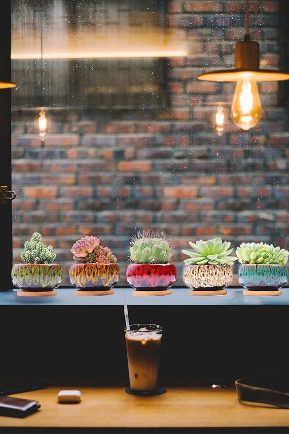 Cute Ceramic Succulent Garden Pots, Planter with Drainage and Attached Saucer, Set of 5 -Plants Not Included (Round)
