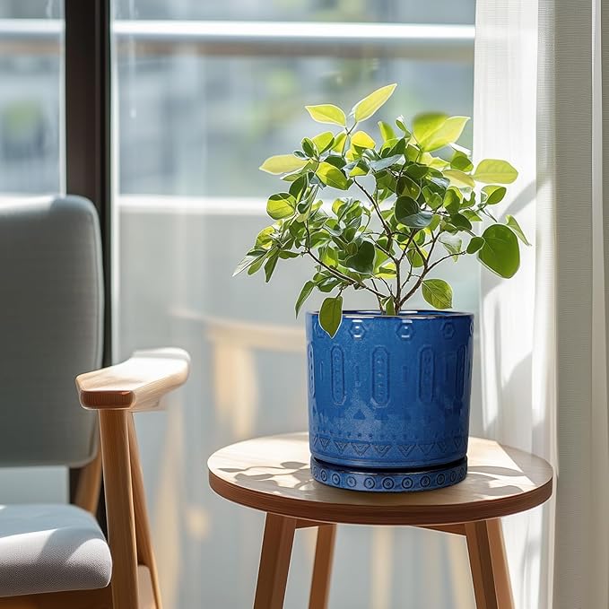 Ceramic Planter - 8 Inch Plant Pot Indoor with Drainage Holes and Saucer Round Planter Outdoor Mid-Century Modern Flower Pot Succulent Pot for Home Decor Blue