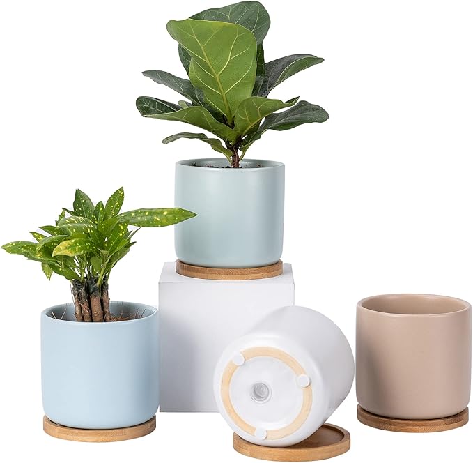 OMAYKEY Succulent Pots, 4 Inch Ceramic Planter Plant Pot with Tray, Drainage Hole & Mesh Pad for Indoor Flowers, Cactus, Herbs, Aloes - Cool Multicolor, Set of 4 (Plant Not Included)