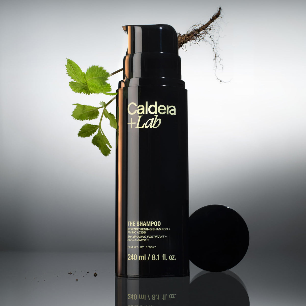 Caldera + Lab The Shampoo | For Men, Strengthening + Amino Acids, 8.1 Fl Oz