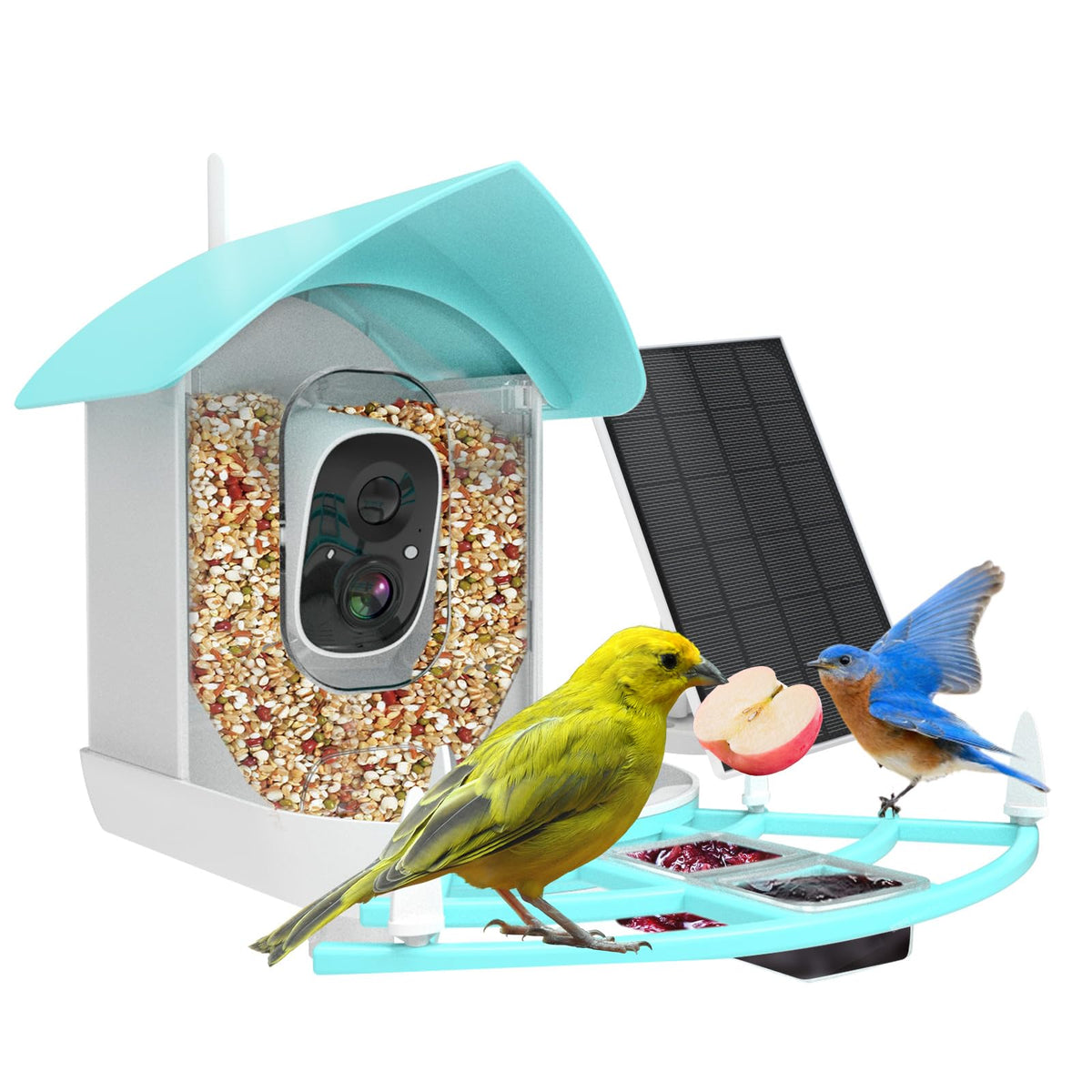 Gyozol Bird Feeder with Camera,WiFi Smart Bird House with Cam Solar Powered