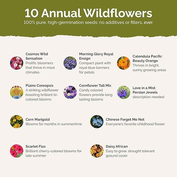 Eden Brothers Country Garden Flower Mixed Seeds for Planting, 1/4 lb, 120,000+ Seeds with Scarlet Flax, Cosmos Sensation | Attracts Pollinators, Plant in Spring or Fall, Zones 3, 4, 5, 6, 7, 8, 9, 10