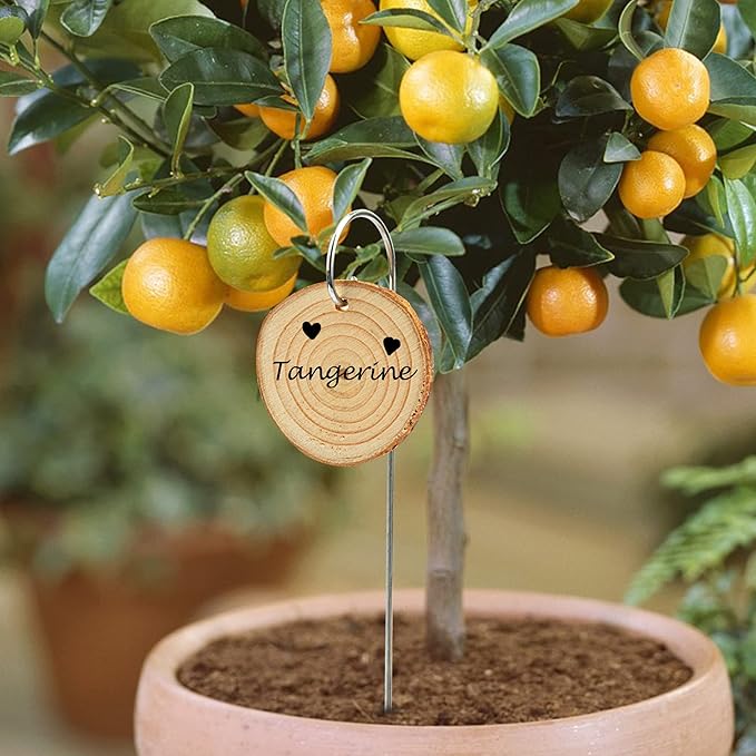 Temlum Wooden Plant Labels with Marker Pen, 50 Pcs Plant Markers Garden Label Stakes Plant Sign Tags for Flowers, Herbs, Potted Plants, Seed