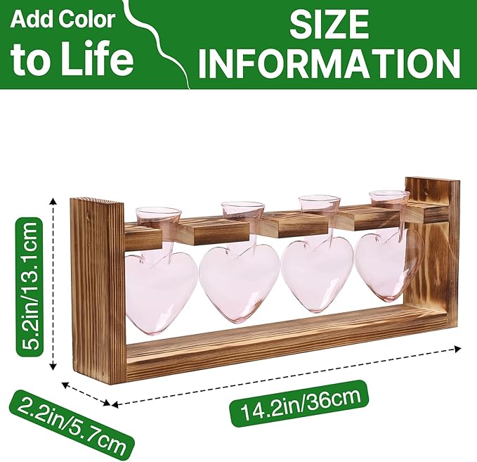 Plant Propagation Stations Heart Plant Terrarium Kit Gift for Women Plant Lover Glass Vases