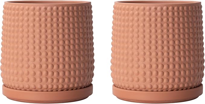 D'vine Dev Set of 2 Ceramic Plants Pots, 6 Inch Beaded Stoneware Flower Pot for Plants with Drainage Hole and Saucer, Terracotta, 27-E-X-7
