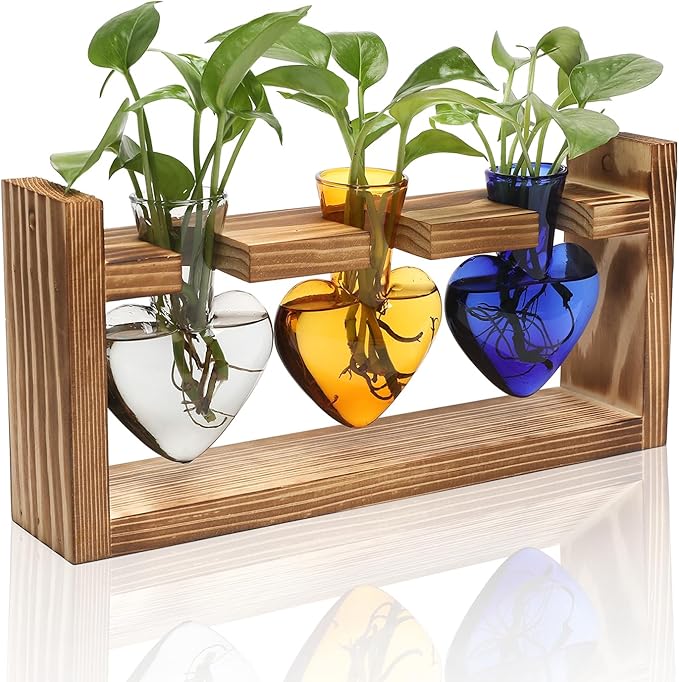 Plant Terrarium Propagation Stations Hydroponics Home Garden Decoration Gift for Women with Wooden Stand Heart Shaped Colored Glass Vase