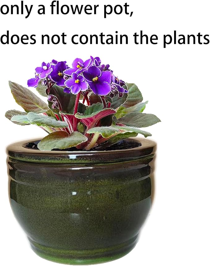 African Violet Pots Self Watering Round Ceramic Violet Pot (Olive drab, 6 inch)