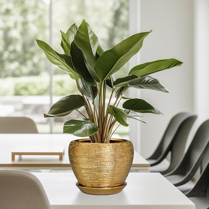 Indoor Plant Pot 6 Inch - Ceramic Pot for Plants Outdoor Planter with Drainage Hole and Saucer Round Decorative Planter Modern Flower Pot for Home Decor Gold