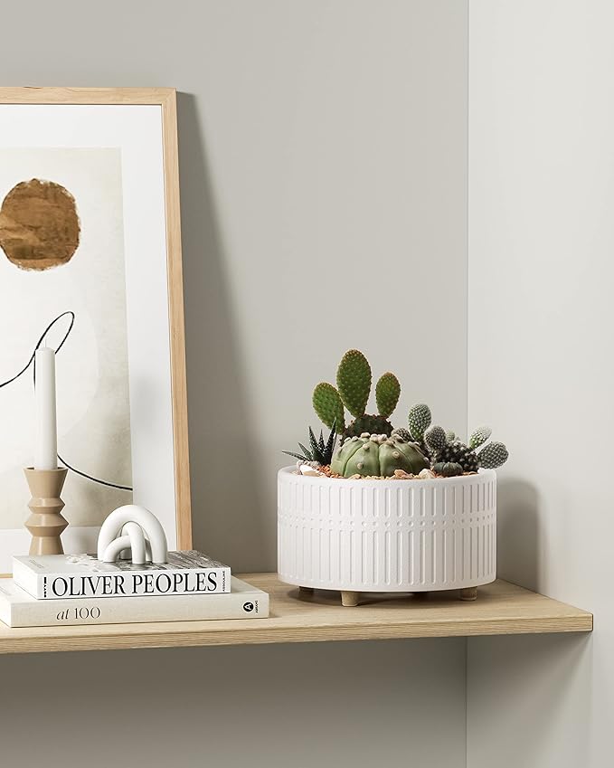 LE TAUCI Succulent Pots, 6.5+8 Inch Ceramic Indoor Plant Pot with Drainage Hole, Modern Round Decorative Flower Pot, Set of 2, Matte White