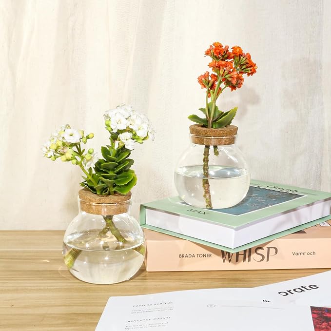 Plant Propagation Station,Hydroponic Terrarium Vase,Desktop Glass Planter Station,for Houses,Garden Decorations,ropagating Hydroponic Plants,Centerpiece Office,Home Garden Decor (2)