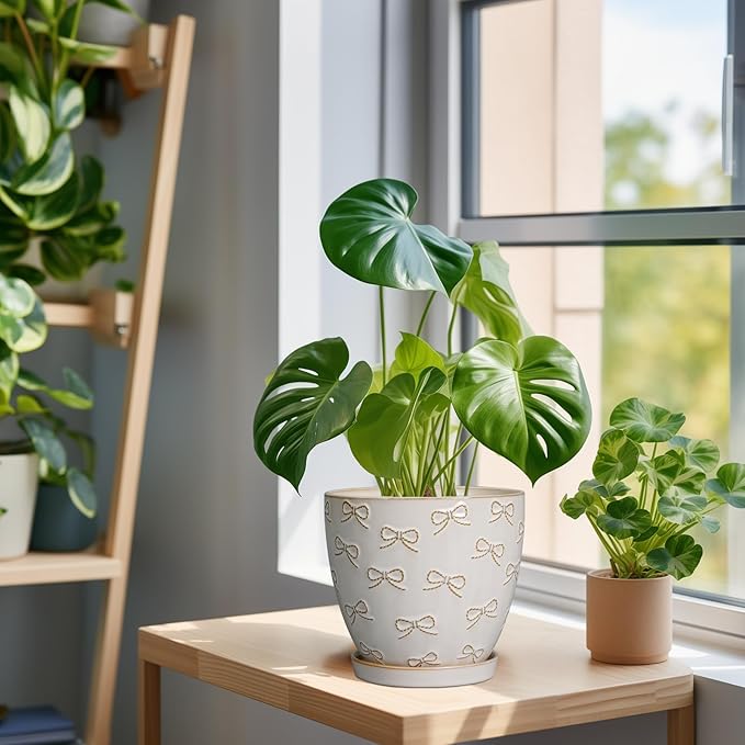 Ceramic Plant Pot 6.9 Inch - Ceramic Planter with Drainage Hole and Saucer Round Planter Flower Pot for Indoor Plants Outdoor Home Garden Office Decor White
