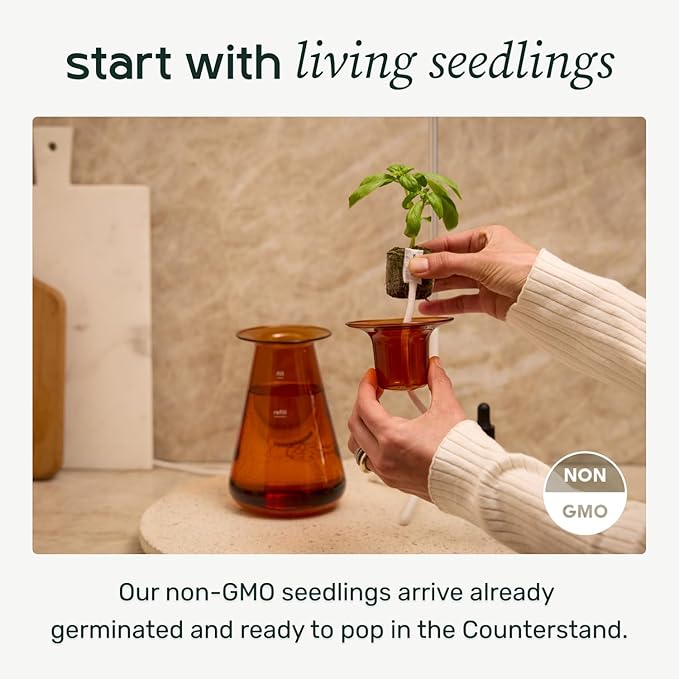 Counterstand Set – Vase Plant for Indoor Edible Garden Kit for Herbs & Lettuce – Small-Space Hydroponic System – Home Decor & Gifting – Without Live Plants