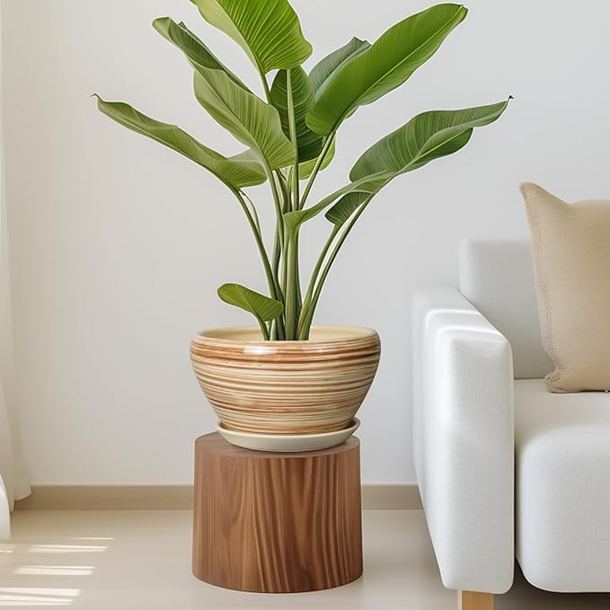 Ceramic Pot for Plants 11 Inch - Planter for Outdoor Plants Indoor Plant Pot with Drainage Hole and Saucer Large Planter Round Flower Pot for House Patio Garden Yellow