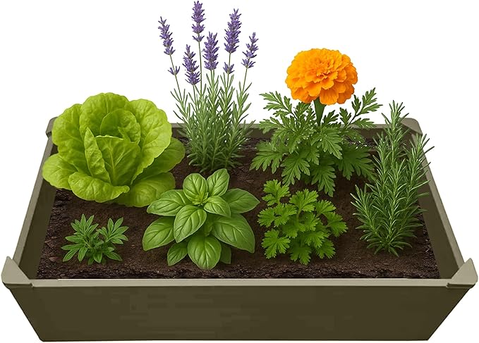 Raised Garden Bed - 2x4 ft Planter Box - Weathered Wood HDPE - No Tools Needed - DIY Kit for Urban Gardening, Flowers, Herbs & Vegetables - Made in The USA