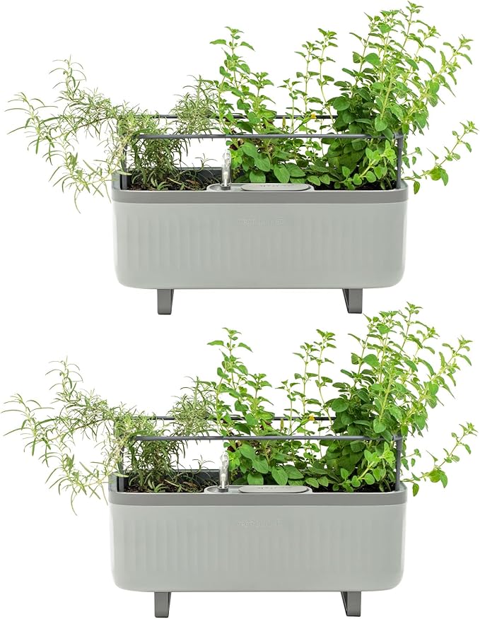 Vego garden 2 Pack Herb Indoor Plant Box, Self Watering Planters Pots for Indoor Plants with Trellis for Kitchen Window Sill or Countertop Plants Cage - Fog Gray