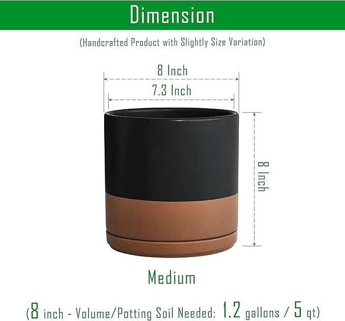 D'vine Dev 8 Inch Ceramic Planter Pot with Drainage Hole and Saucer, Indoor Cylinder Round Planter Pot, Black/Speckled Tan, 94-O-D-7
