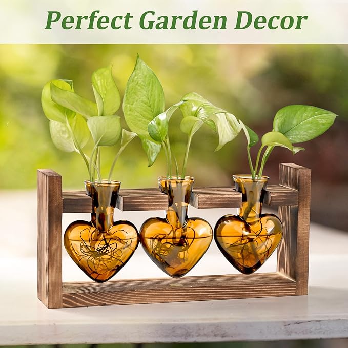 Lifecapido Heart Shaped Propagation Stations, Plant Terrarium with Wooden Stand, Plant Propagation Station for Hydroponics Plants Office Garden Home Decor, Gifts for Women Plant Lover (3 Vases, Amber)