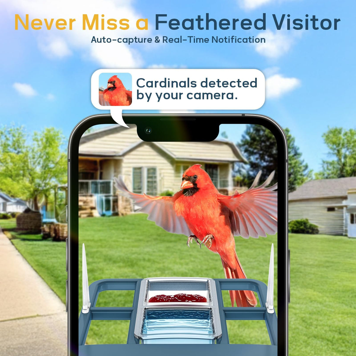 Fazoxo FHD Bird Feeder with Camera,Solar Powered Bird House Camera