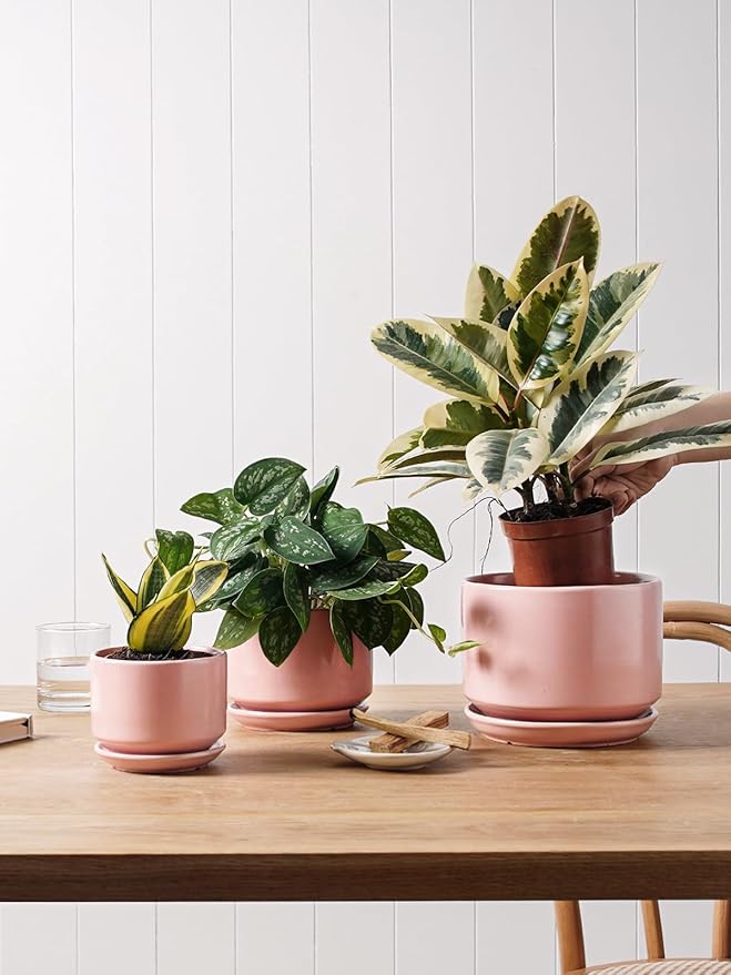 LE TAUCI Ceramic Plant Pots, 4.3+5.3+6.8 inch, Set of 3, Planters with Drainage Hole and Saucer, Indoor Flower Pot with Hole Mesh Pad, Gifts for Mom, Pink