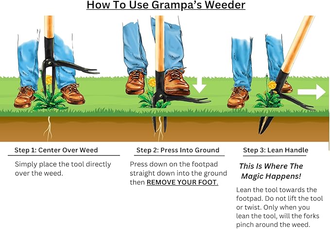 Grampa's Weeder - The Original Stand Up Weed Puller Tool with Long Handle - Made with Real Bamboo & 4-Claw Steel Head Design - Easily Remove Weeds Without Bending, Pulling, or Kneeling.