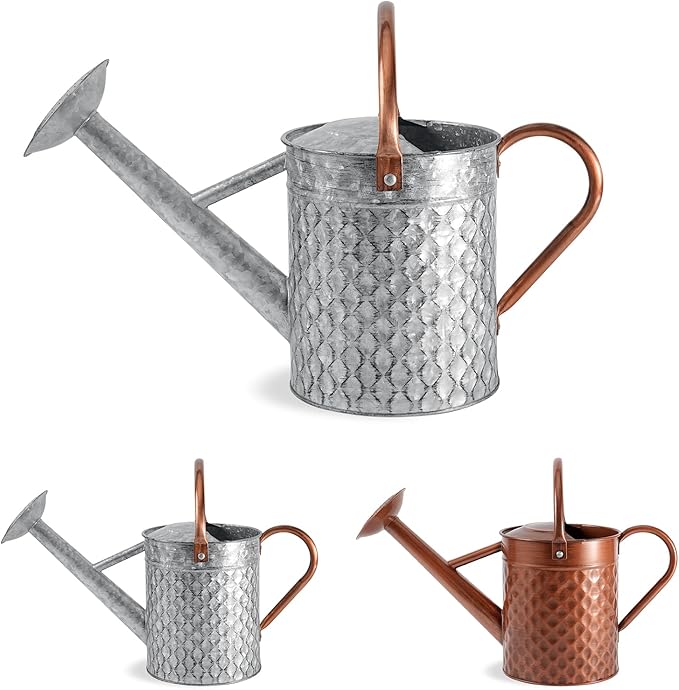 1 Gallon Metal Watering Can for Outdoor Indoor Plants, Galvanized Watering Can with Removable Spray Spout, Ideal for Garden Watering