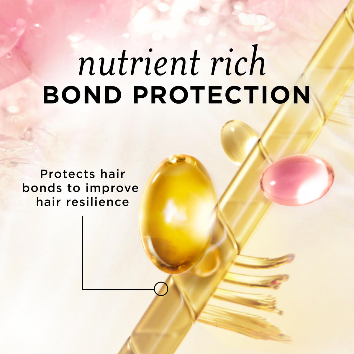 Pantene Nutrient Blends Miracle Moisture Boost Rose Water Shampoo & Conditioner Dual Pack for Dry Hair, Sulfate Free