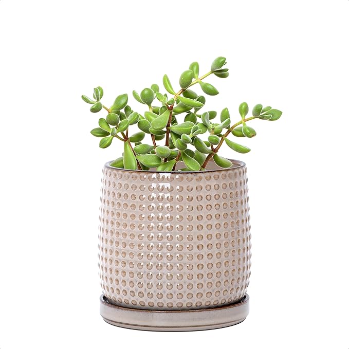 D'vine Dev 4 Inch Ceramic Beaded Stoneware Planter Pot - Flower Pot with Drainage Holes and Saucers for Indoor Succulent Plants or Flowers, Light Brown, 27-C-Z-4