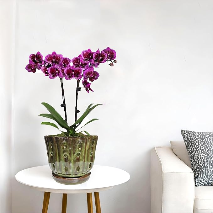 Ceramic Orchid Pots with Attached Saucer and Drainage Hole 6'' Orchid Planter (mossgreen)