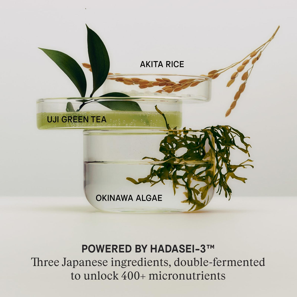 TATCHA Kissu Lip Mask, Visibly Plumps & Softens with Biomimetic Squalane