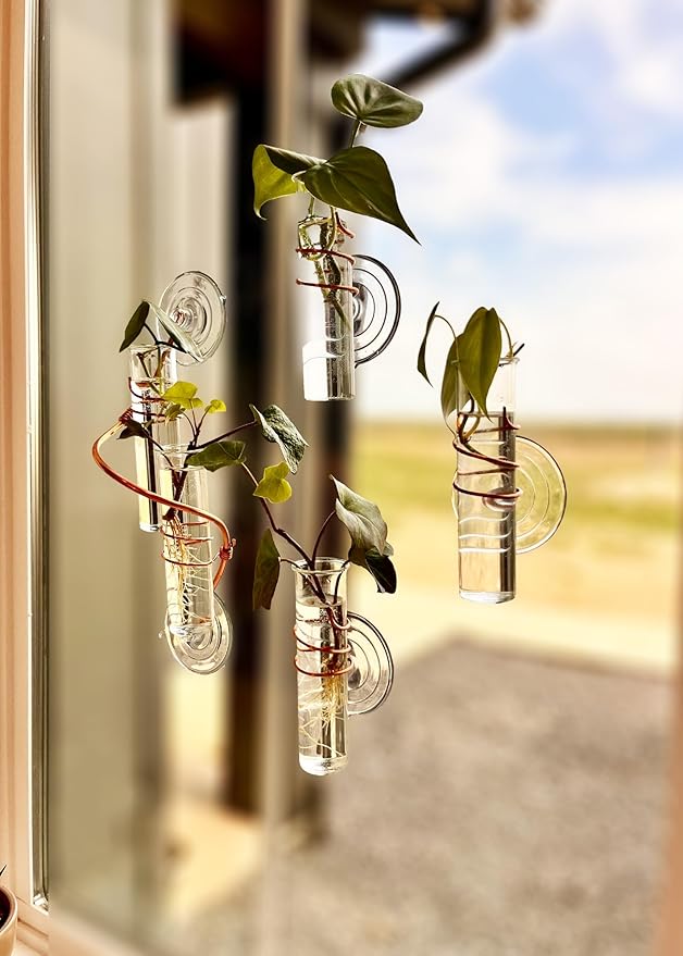 The Little Window Propagator- Window Plant Propagation Station with Removable Glass Test Tubes, Indoor Clippings, Cut Flowers, Herbs, Succulents | Home Decor | Plant Lover Gift