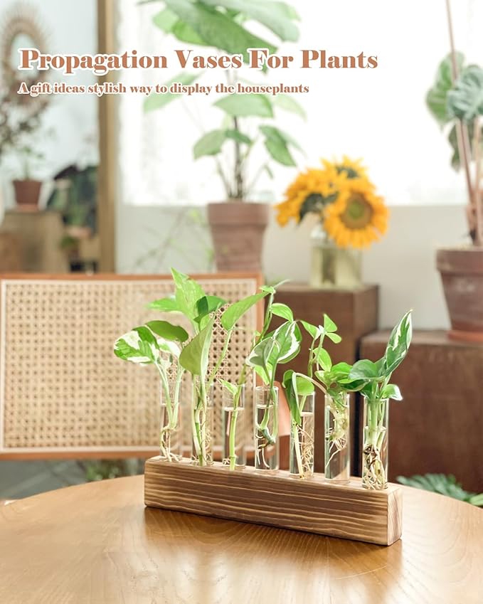 KAXYEW Plant Terrarium with Wooden Stand, Plant Propagation Tubes, 7 Test Tubes Glass Planter for Hydroponic Plant Cuttings Home Office Décor