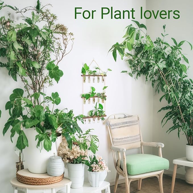 Ivolador Hanging Plant Propagation Tubes,3 Tiered Wall Hanging Terrarium Flower Planter Vase for Hydroponic Plants Cutting Home Office Garden Decor Plant Lover Gift