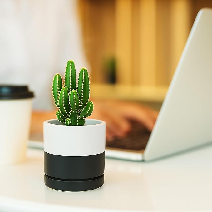 D'vine Dev 3.5 Inch Ceramic Planter Pot with Drainage Hole and Saucer, Indoor Cylinder Round Planter Pot, Layered Monochrome Black & White, 94-O-A-L