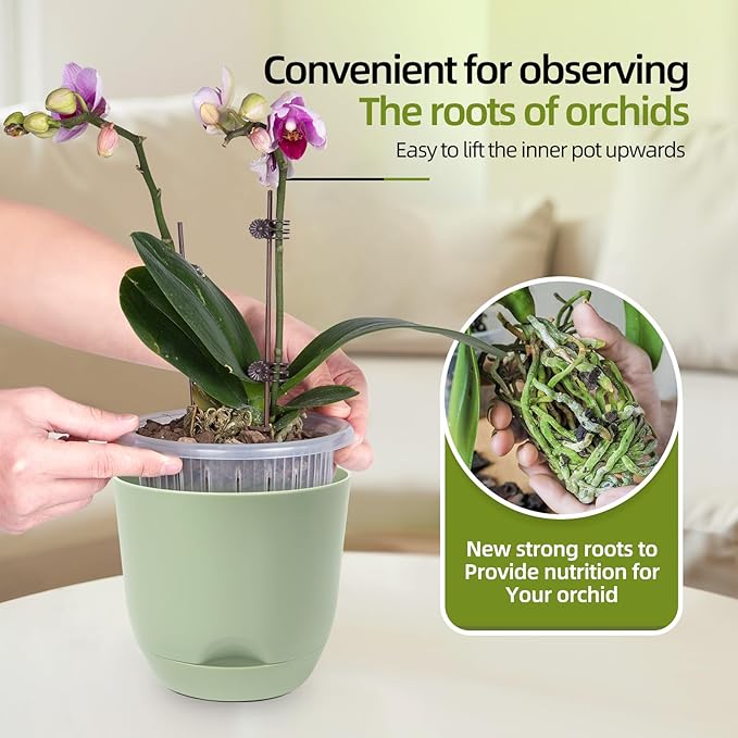 QCQHDU 2 Pack Orchid Pots with Holes for Repotting, Double-Layer and Self Watering Orchid Pot with Good Air Circulation