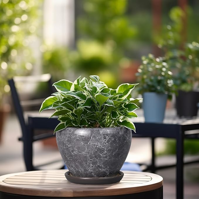 Ceramic Planter - 6 Inch Plant Pot with Drainage Hole and Saucer, Succulent Pot Glaze Round Flower Pot for Indoor Outdoor Plants, Gray