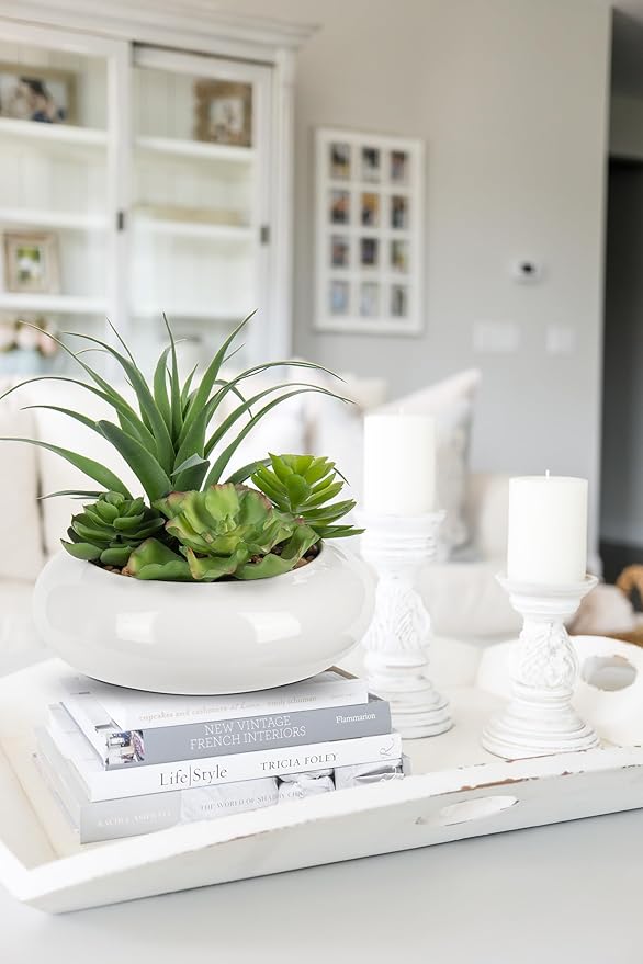 Large Artificial Succulents Plants Faux Succulents in Pots Fake Succulent Arrangement Potted Plants with White Ceramic Pot for Office Desk Bathroom Shelf Living Room Indoor & Outdoor Home Decor