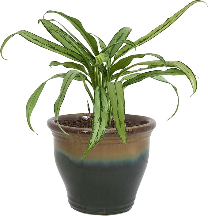 Sunnydaze Studio Large Ceramic Plant Pot - Round Outdoor Glazed Ceramic Planter Pot with Drainage - Forest Lake Green - 14.5"