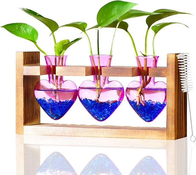 Nacome Plant Terrarium for Office Decor: Birthday Gifts for Plant Lovers Women Mom Wife - Wooden Stand Tabletop Planter 3 Bulb Glass Vase Heart Shaped for Hydroponics Indoor Home(Purple)