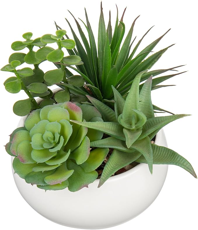 Fake Plants Artificial Succulents in Pots Faux Succulent Arrangement Potted Plant with White Ceramic Pot for Home Decor Modern Office Desk Bathroom Shelf Living Room Indoor Decoration