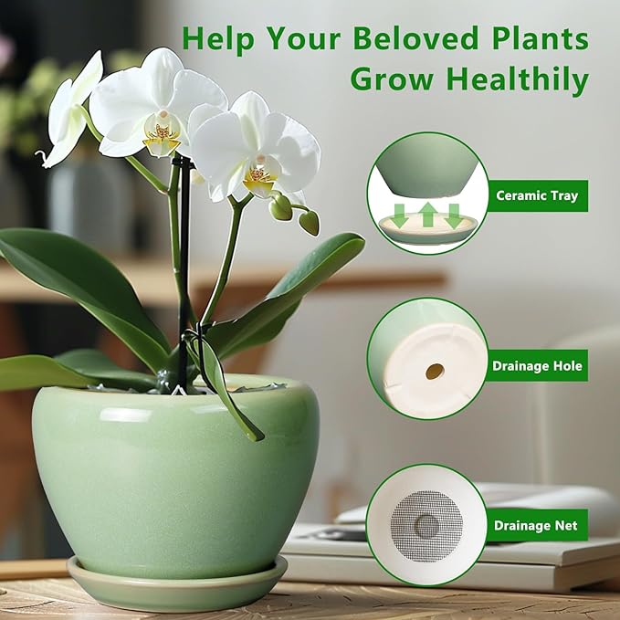 8 Inch Plant Pot - Ceramic Planter for Outdoor Plants Indoor Plant Pot with Drainage Hole and Saucer Mid-Century Round Planter Flower Pot for House Garden Green