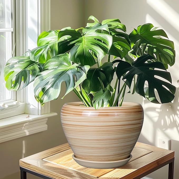 Ceramic Pot for Plant 10 Inch - Planter for Outdoor Plants Indoor Plant Pot with Drainage Hole Large Planter Round Flower Pot for House Patio Garden Yellow