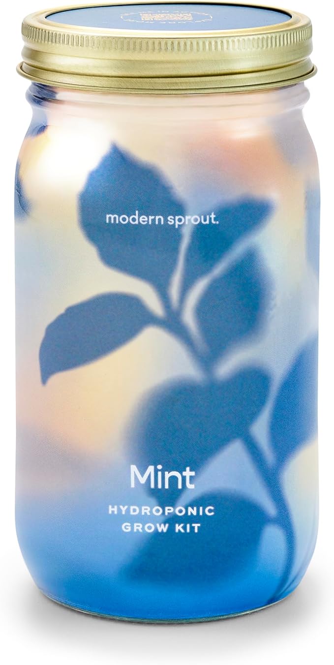 Modern Sprout Mason Garden Jar - Self-Watering Hydroponics Growing System Kit with Organic Herb Seeds - Jar Planter for Indoor Herb Garden - Seed Starter Kit - Home Decor & Gifting - Mint