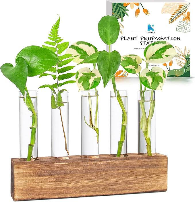 KAXYEW Plant Propagation Station, Plants Propagation Tubes, Gifts for Plant Lovers, Plants Cutting Holder Test Tube Vase Office Desk Garden Décor Gift for Her Mom Women Hydroponic Vase Gift Box