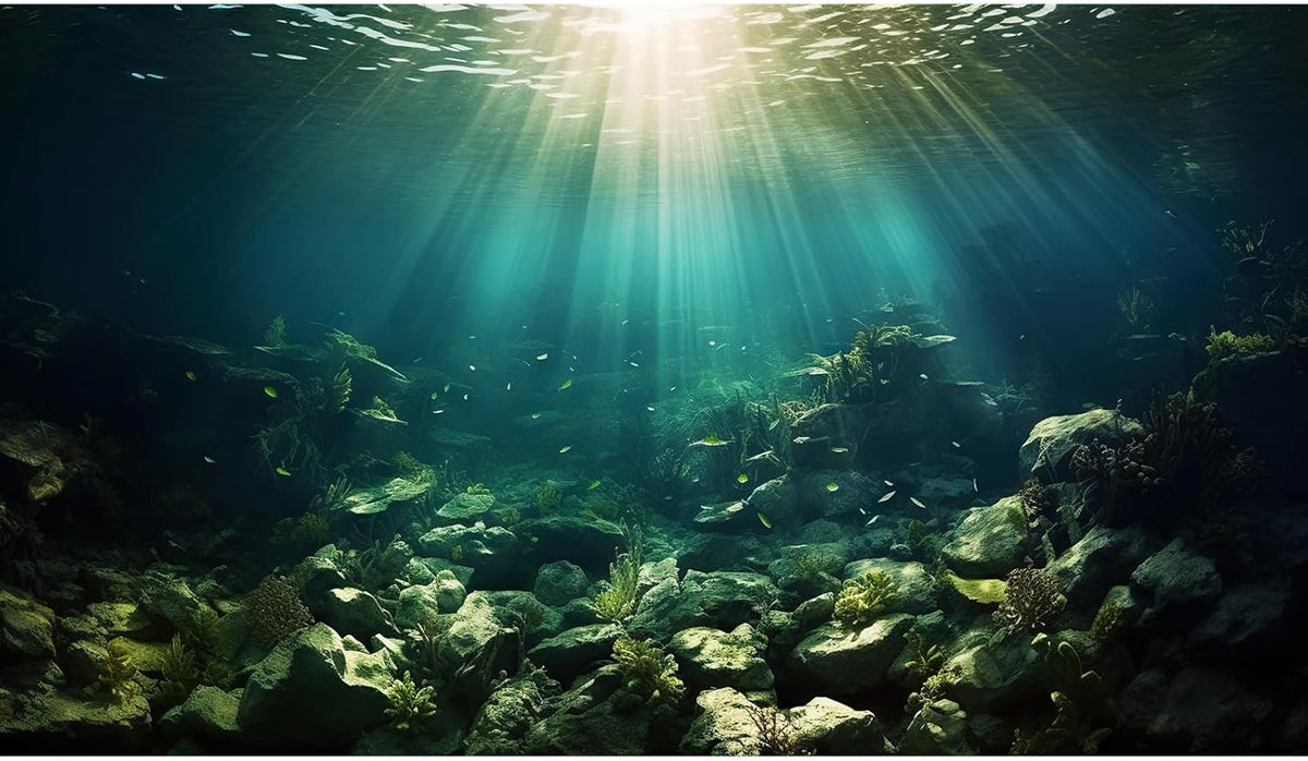 Deep Ocean Aquarium Background Under The Sea Fish Tank Background Underwater World Terrarium Backgrounds Ocean Floor Rock Aquatic Plants Aquarium Backdrop for Fish Tank Backgrounds Decors 30x12in