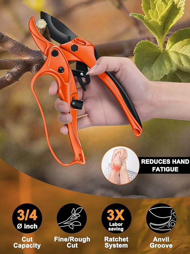 Ratchet Anvil Pruning Shears for Gardening Heavy Duty, Labor-Saving Design Garden Clippers for Arthritis Weak Hands, 3/4" Cut Capacity Branch Cutter for Tree Trimming, Flower, Rose, Plant