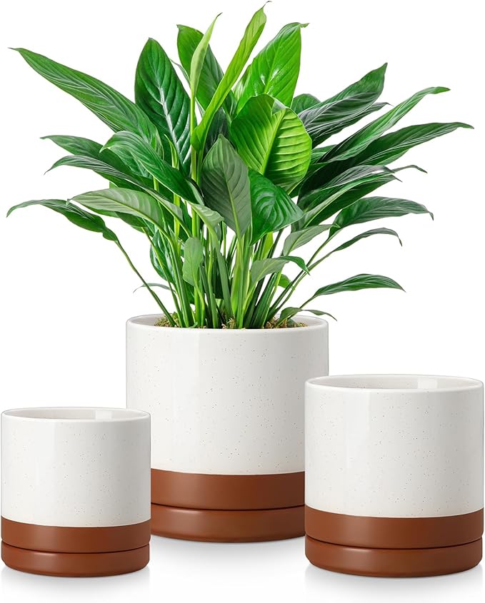 vancasso Ceramic Plant Pots, 3 Piece Planters for Indoor Plants, 4.25+5.25+6.25 Inch Flower Pots with Drainage, Plant Pots Indoor for Succulent, Pothos, Snake Plant and Money Tree, Etc (Khaki)