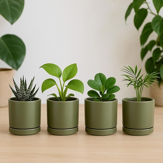 D'vine Dev Set of 4 Small Ceramic Plant Pots, 3.5 Inch Succulent Planter Pot for Plants with Drainage Hole and Saucer, Olive, 94-X-A-0