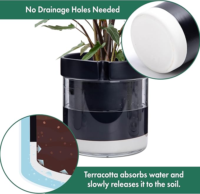 Phoenix Vine 8 Inch Self Watering Terracotta Planter, Black Terracotta Clay Pot with Glass Reservoir for Indoor Plants, Herbs, Flowers, Set of 1, 52-C-H-1