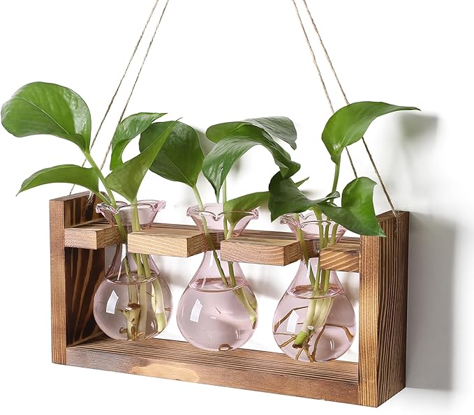 Plant Propagation Station Plant Terrarium Unique Birthday Gifts for Women Plant Lovers Home Office Decor Planter with Wooden Stand - 3 Bulb Glass Vase